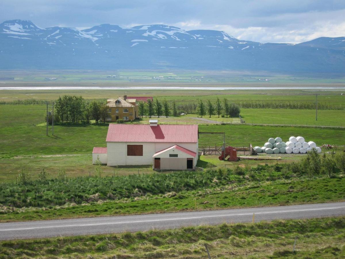 Frostastathir Guesthouse Varmahlid  Exteriér fotografie